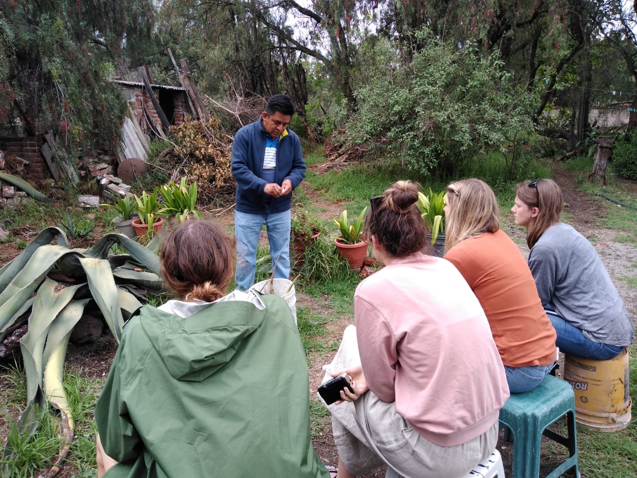 teotihuacan mezcal tasting vegan tour