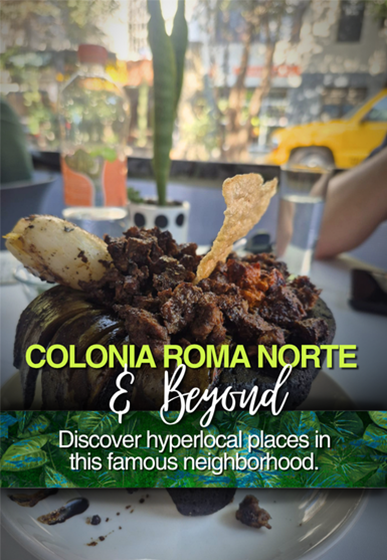 Vegan molcajete colonia roma norte mexico city